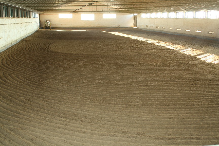 Reithalle 66 x 22 Meter