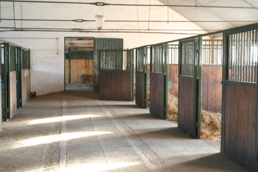 Stall mit Boxen